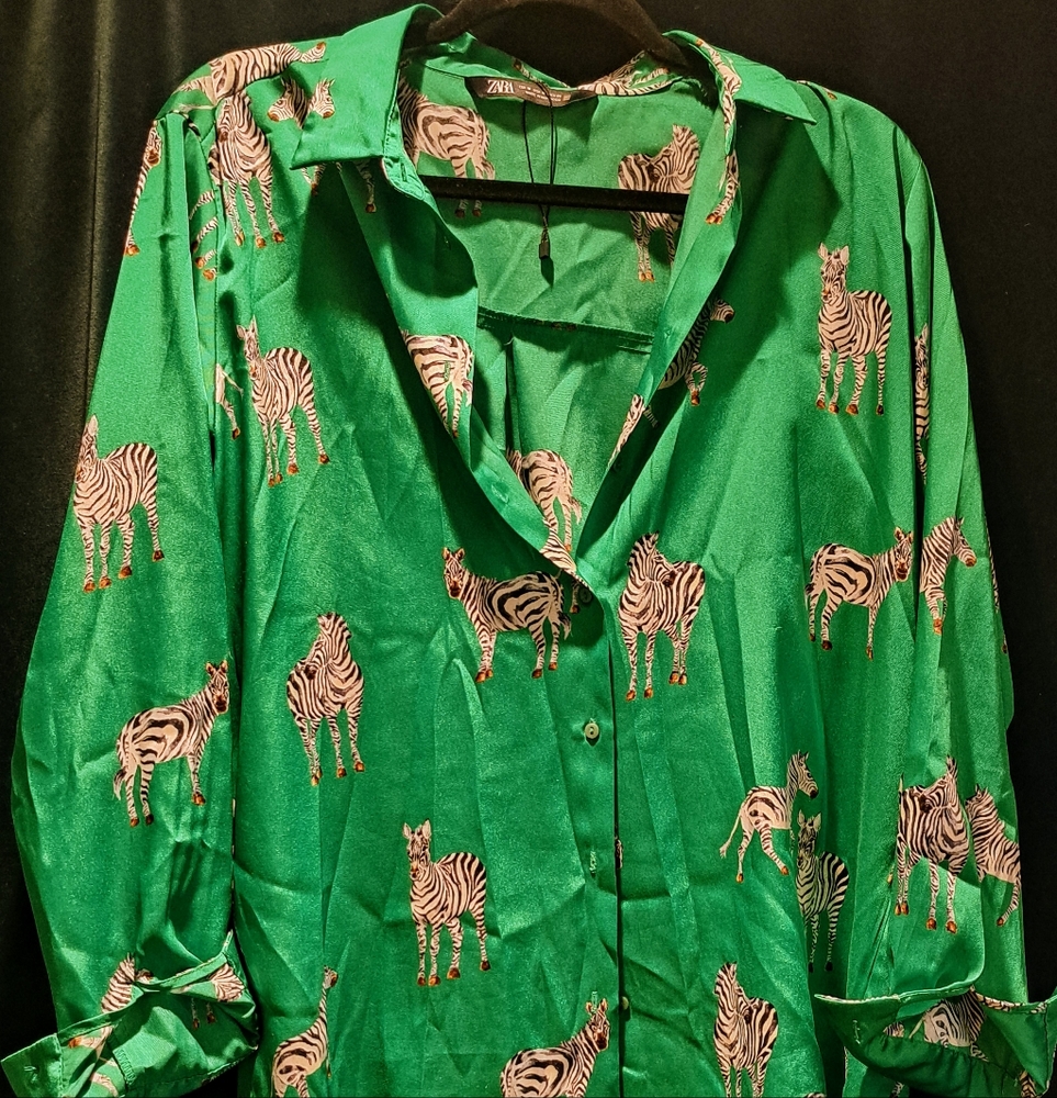 Zara Button Down